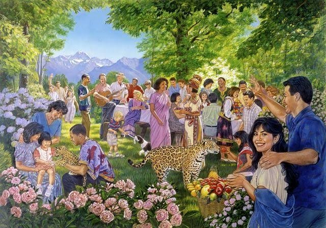 Paradise illustration